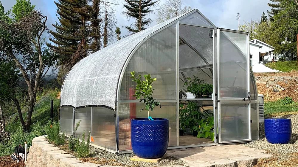 Riga arched greenhouse with shade cloth fitted over the roof, doors open to potted citrus and vegetables