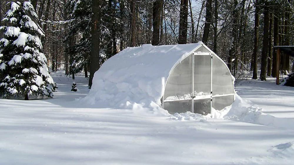 Riga greenhouse holding its shape under a deep blanket of snow in a wooded yard