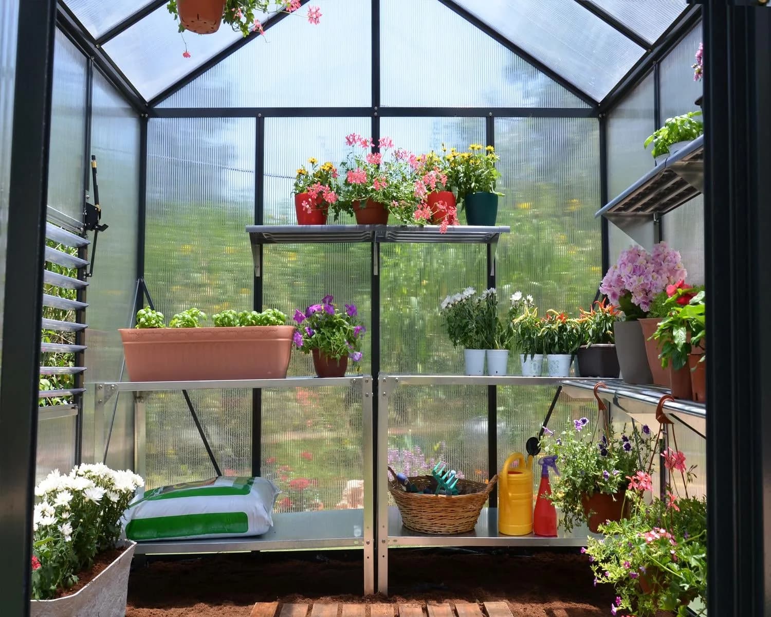 Inside a Canopia Glory greenhouse with plants growing on benches under diffused twin-wall panels