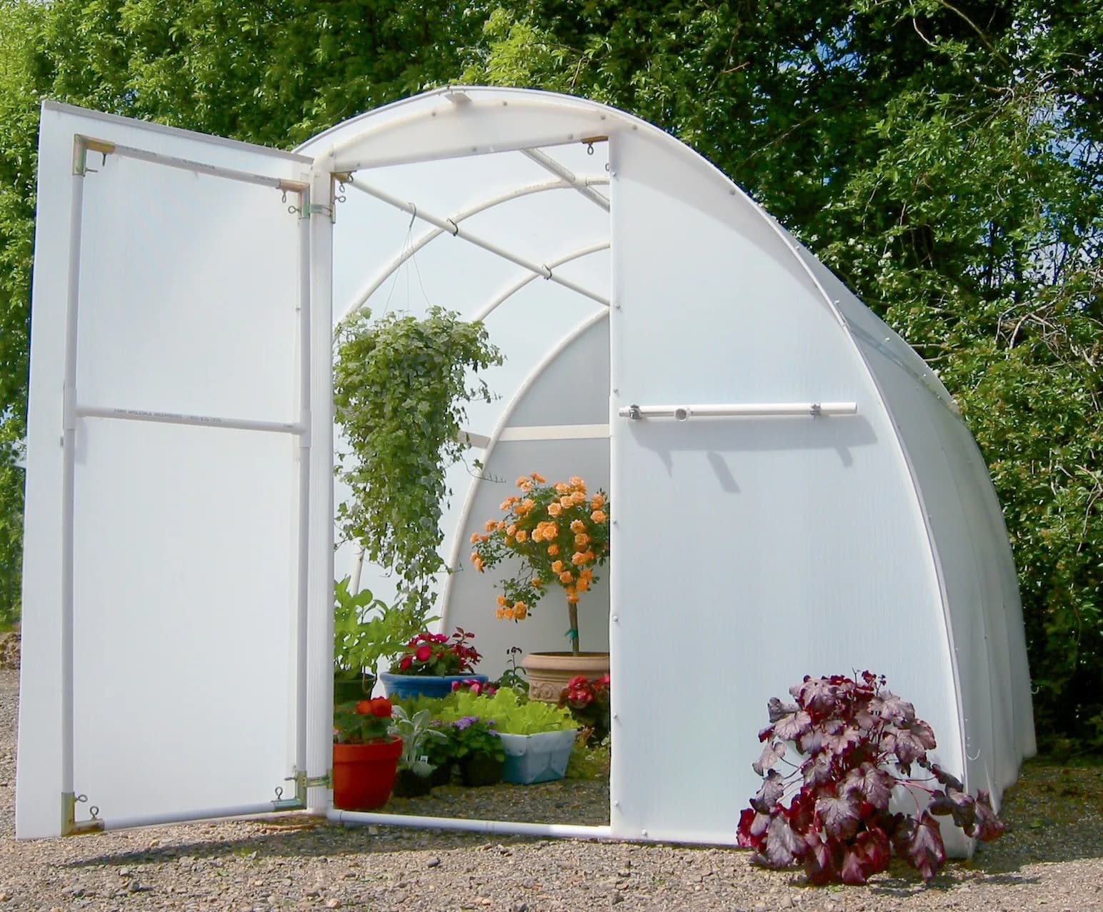 Solexx Early Bloomer compact greenhouse with double doors open showing potted plants inside
